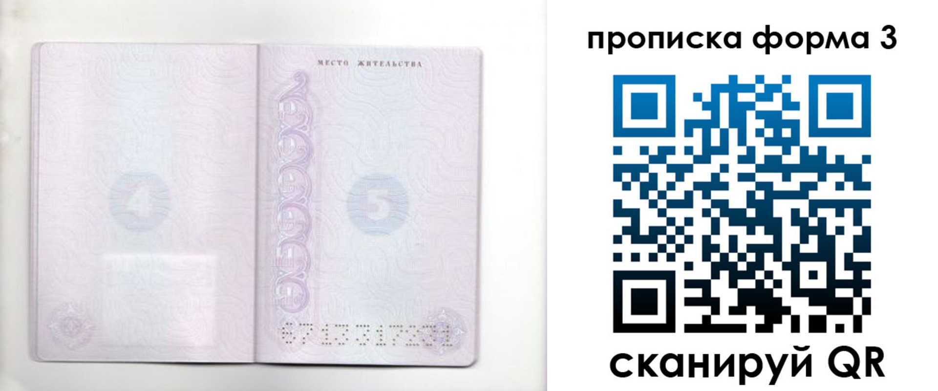 прописка гарантия в Бологом